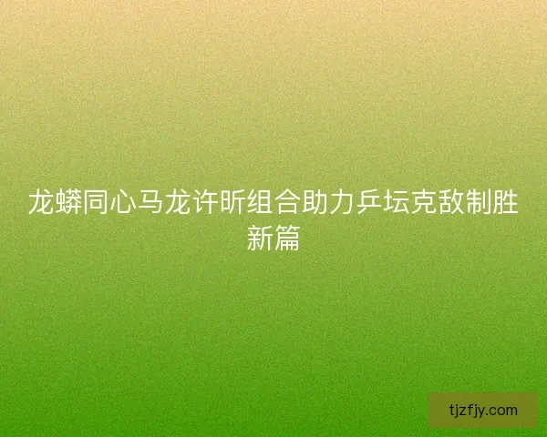 龙蟒同心马龙许昕组合助力乒坛克敌制胜新篇